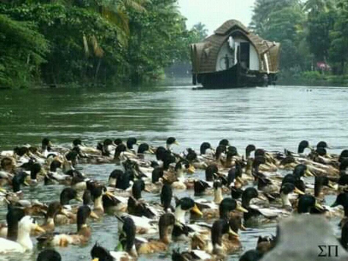 Rajatheeram Beach Homestay & Backwater Cruise Alleppey Alappuzha Экстерьер фото